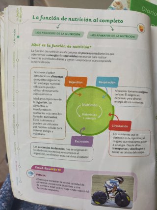 Ciencias de la Naturaleza, 6 Primaria, Proyecto...