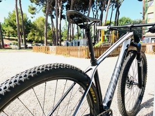 Bicicleta Specialized Stumpjumper 29