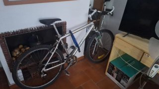 Bicicleta de montaña plateada con candado