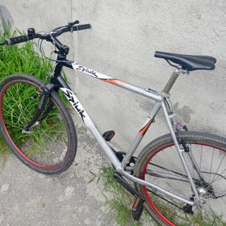 Bicicleta Urbana