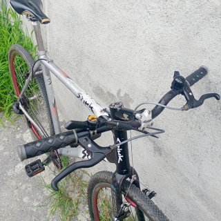 Bicicleta Urbana