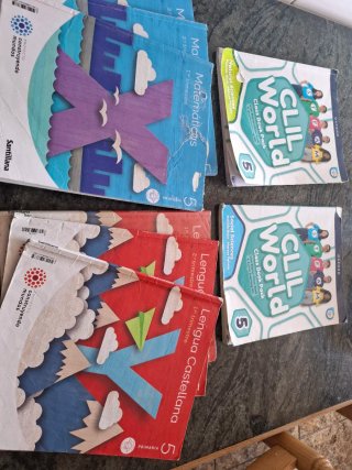 Lote libros 5 primaria
