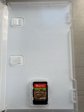 Minecraft Nintendo Switch