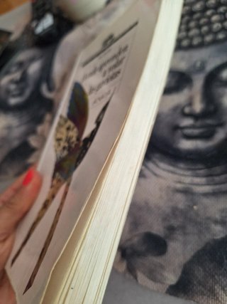 Libro Donde aprenden a volar las gaviotas