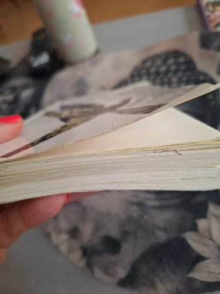 Libro Donde aprenden a volar las gaviotas