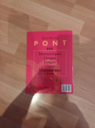 Pont Educació Secundària, 2n curs : exercicis f...
