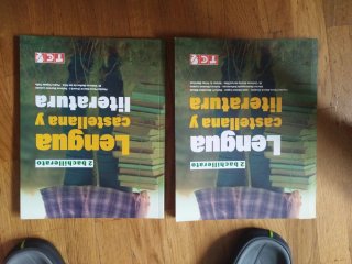Lengua Castellana y Literatura, 2 Bachillerato