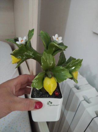 Pianta Limoni Ceramica Decorativa