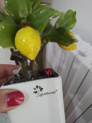 Pianta Limoni Ceramica Decorativa