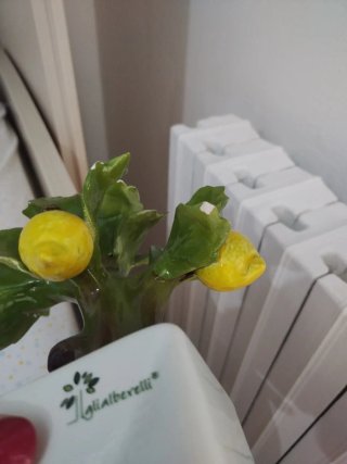 Pianta Limoni Ceramica Decorativa