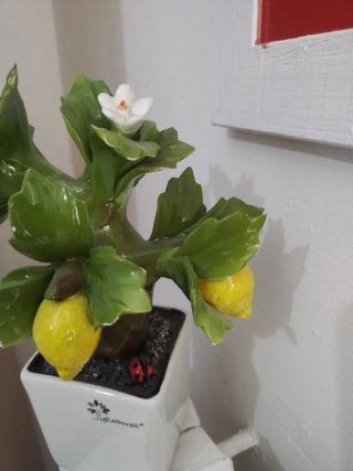 Pianta Limoni Ceramica Decorativa