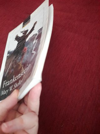 Frankenstein o El moderno Prometeo