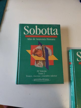 Atlas de anatomía humana Tronco, vísceras y mie...