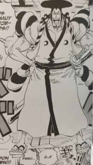 Mangas variados One Piece