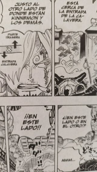 Mangas variados One Piece