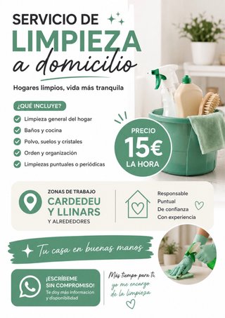Realizo limpieza de hogar, trasteros, de textiles.