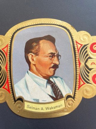 Vitola antigua 15cm Álvaro - Selman A. Waksman