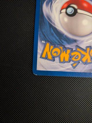 Carta Pokemon Electabuzz ex Holo 97/109 ITA