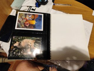 Album Cartoline Postali BOLAFFI