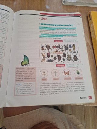 Lengua castellana, 1 ESO