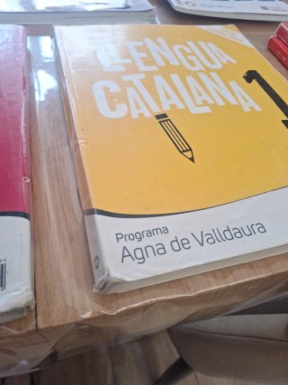 Llengua catalana, 1 ESO