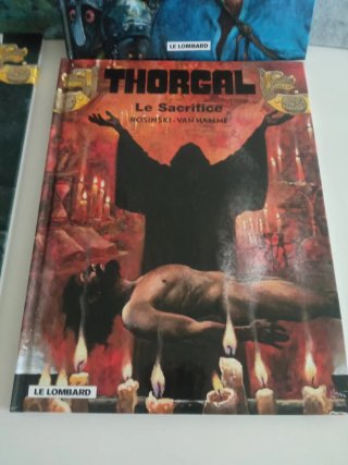 Lote de 4 tomes Thorgal 28-29-30-31
