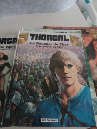 Lote de 4 tomes Thorgal 28-29-30-31