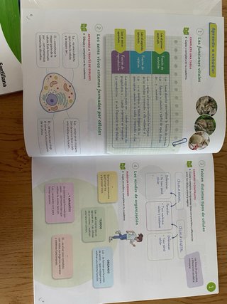CIENCIAS DE LA NATURALEZA 5 PRIMARIA CONSTRUYEN...