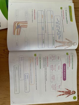 CIENCIAS DE LA NATURALEZA 5 PRIMARIA CONSTRUYEN...
