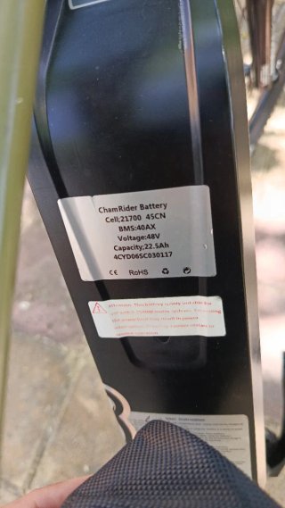 Bicicleta eléctrica con buena capacidad