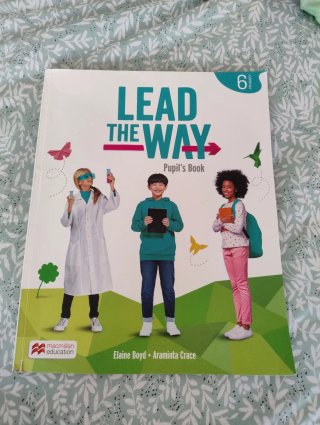 Lote de 5 libros 6 de primaria. Buen estado.