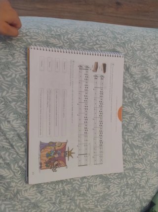 Lote de 5 libros 6 de primaria. Buen estado.