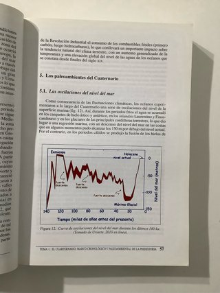 Prehistoria I las primeras etapas de la Humanidad