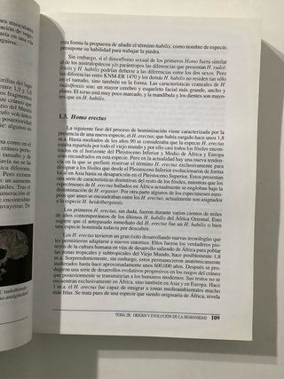 Prehistoria I las primeras etapas de la Humanidad