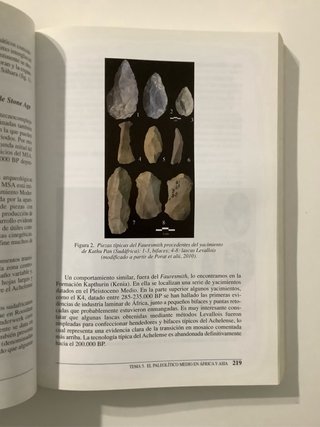 Prehistoria I las primeras etapas de la Humanidad