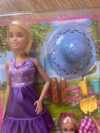 Barbie Family & Friends - Set Picnic Hermanas