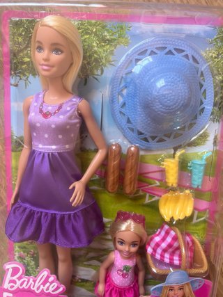 Barbie Family & Friends - Set Picnic Hermanas