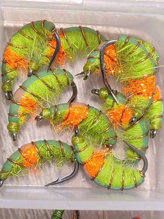 Ninfas de pesca para trucha