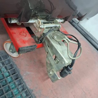 Remolque Portaperros Car-Priss