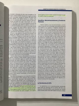 Fundamentos de psicobiología