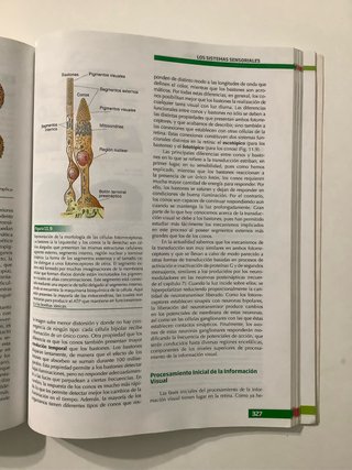 Fundamentos de psicobiología