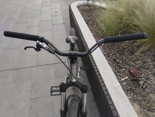 Bicicleta Dirt Street BMX Leafcycles