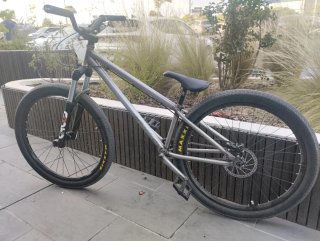Bicicleta Dirt Street BMX Leafcycles