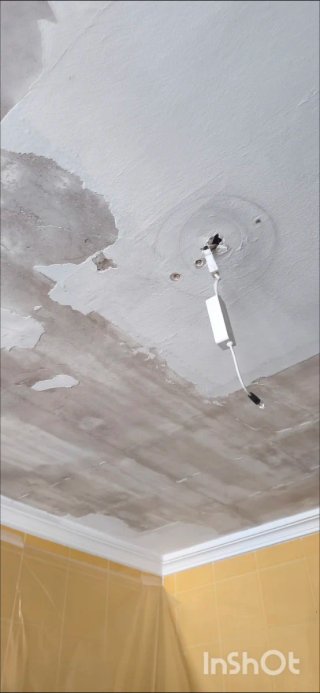 Pintor Económico