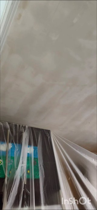 Pintor Económico