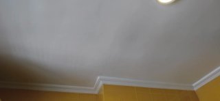 Pintor Económico