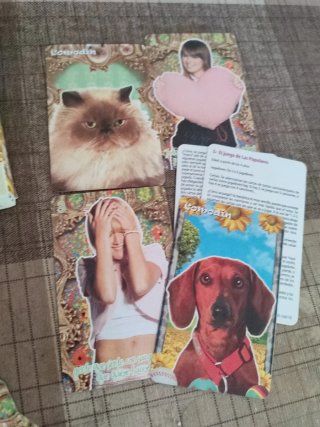 Juego de cartas Patito Feo