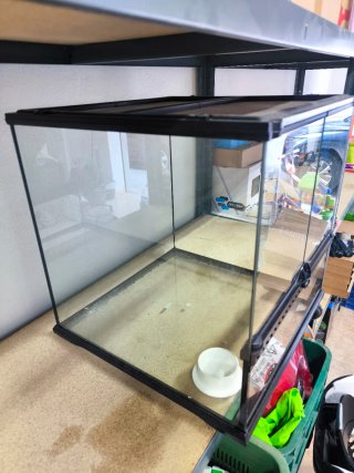 Terrario Exo Terra Negro Transparente
