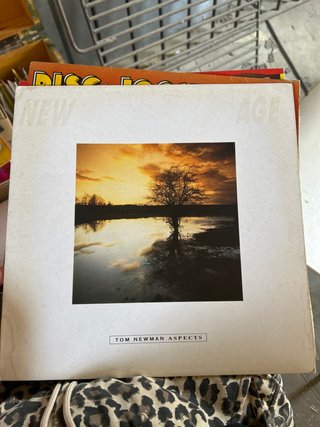 Vinilo Tom Newman Aspects New Age