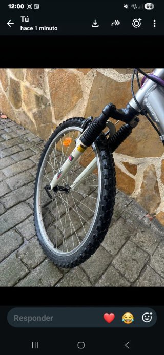 Bicicleta de montaña plateada